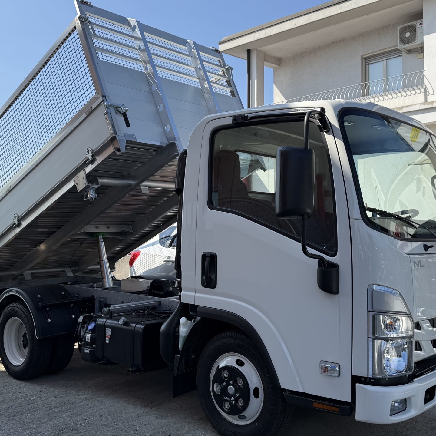 Isuzu M21 ponte con rete